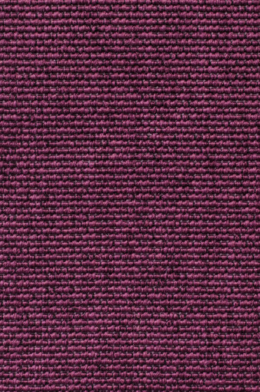 Eco Iqu 280020-9264 | Moquettes | Carpet Concept