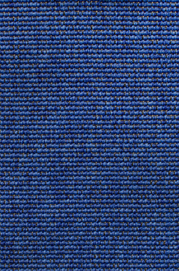 Eco Iqu 280020-21215 | Moquette | Carpet Concept