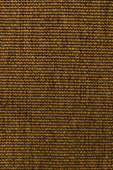 Eco Iqu 280020-60239 | Moquettes | Carpet Concept