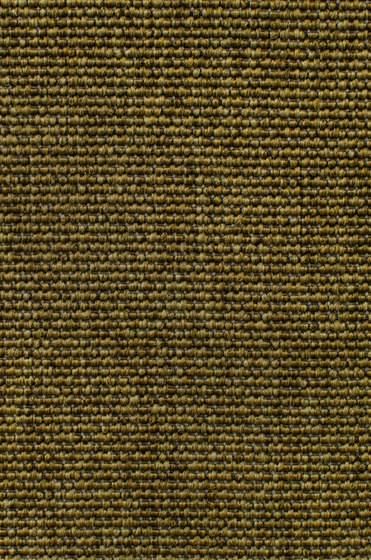 Eco Iqu 280020-60240 | Moquettes | Carpet Concept