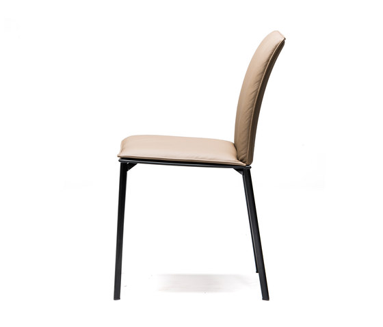 Rita | Chairs | Cattelan Italia