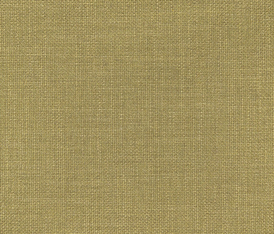 Paco 10615_73 | Upholstery fabrics | NOBILIS