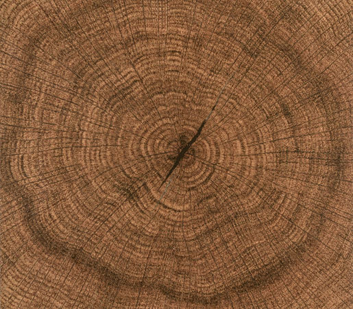Engineered Oak | Keramik Fliesen | Kaswell Flooring Systems