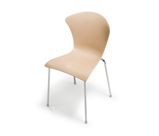 Glossy 3D Wood | Chairs | Infiniti