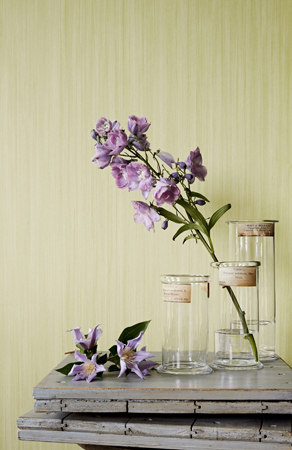 Woodville Plain | Wall coverings / wallpapers | Zoffany