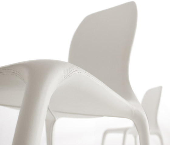 Lisetta | Chairs | Tonin Casa