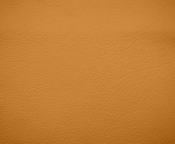 Elmosoft 44012 by Elmo | Natural leather