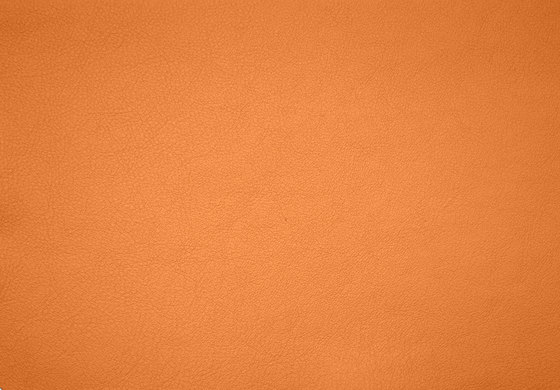 Elmosoft 45050 by Elmo | Natural leather