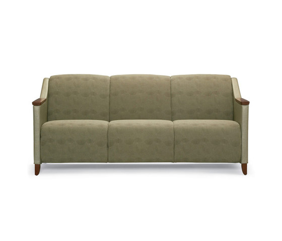 Facelift Three Place Sofa | Sofás | Trinity Furniture