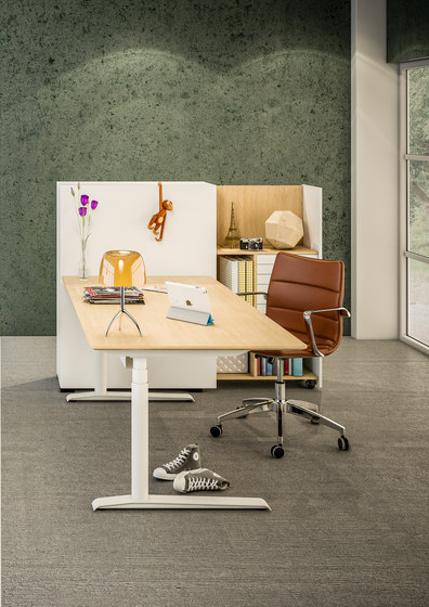 Quadro Sit/Stand Desk | Tables collectivités | Cube Design