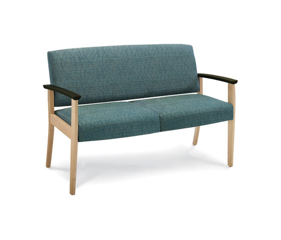 Facelift 3 Evolve Two Place Sofa | Sofas | Trinity Furniture