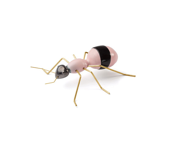 Fauna Ant | Objekte | Mambo Unlimited Ideas