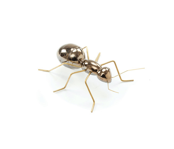 Fauna Ant | Objekte | Mambo Unlimited Ideas