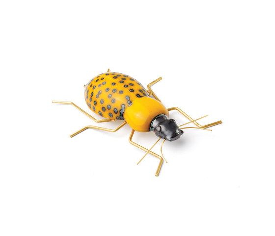 Fauna Beetle | Objects | Mambo Unlimited Ideas