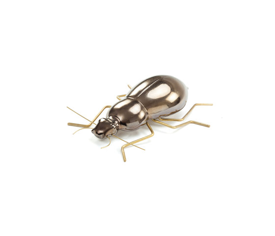 Fauna Beetle | Objets | Mambo Unlimited Ideas