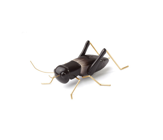 Fauna Cricket | Objekte | Mambo Unlimited Ideas