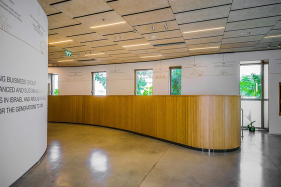 Troldtekt | Applications | Shikun & Binui Gallery | Acoustic ceiling systems | Troldtekt