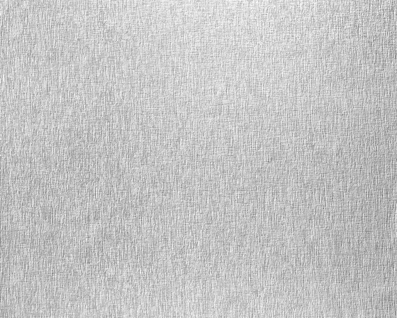 Paintable textured nonwoven wallpaper EDEM 8374BR60 | Wall coverings / wallpapers | e-Delux