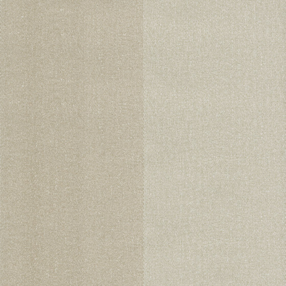 Wild - Striped wallpaper FERUS 205-303 | Drapery fabrics | e-Delux