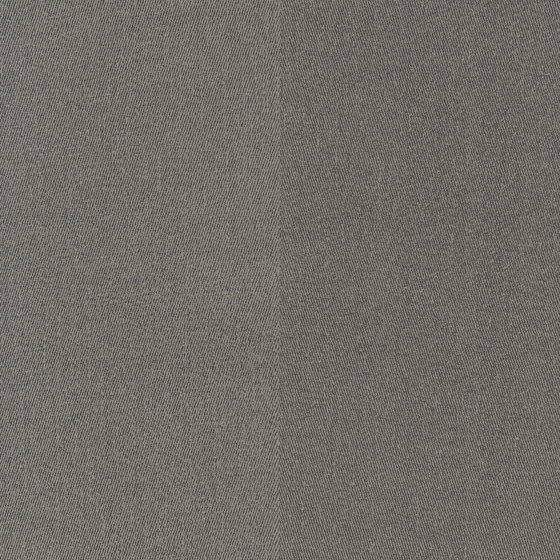 Wild - Striped wallpaper FERUS 205-304 | Drapery fabrics | e-Delux