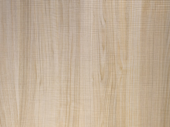 Wood - Wandpaneel WallFace Wood Collection 19029 | Kunststoff Platten | e-Delux
