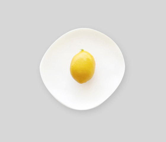 Round Plate | Medium | Dinnerware | Tina Frey Designs