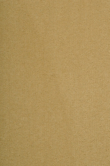 Epoca Texture WT 0573255 | Wall-to-wall carpets | ege