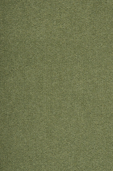 Epoca Texture WT 0573330 | Wall-to-wall carpets | ege