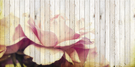 Flower | Peintures murales / art | Creativespace
