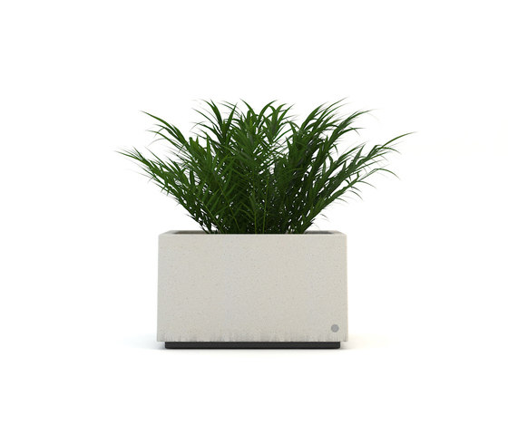 Lounge Low Planter | Vasi piante | Bellitalia