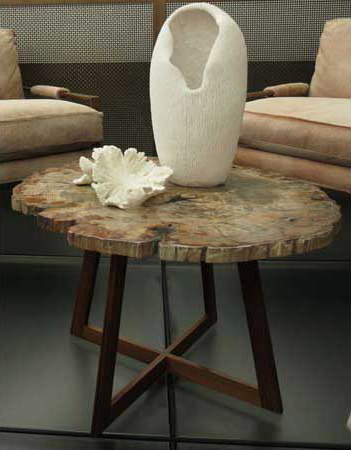 Petrified Wood End Table | Tables d'appoint | Cliff Young