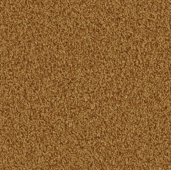 Amiru 2d66 | Wall-to-wall carpets | Vorwerk