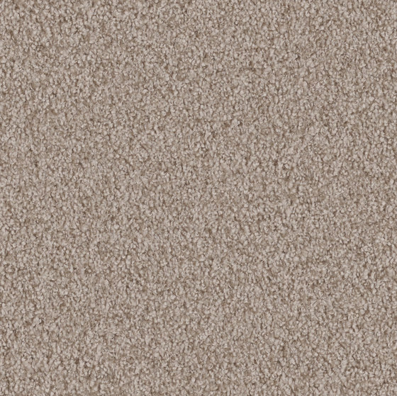Amiru 8h03 | Wall-to-wall carpets | Vorwerk