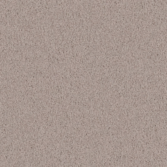 Merida 8h10 | Wall-to-wall carpets | Vorwerk