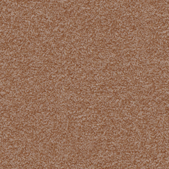 Nutria Comfort 1l53 | Wall-to-wall carpets | Vorwerk