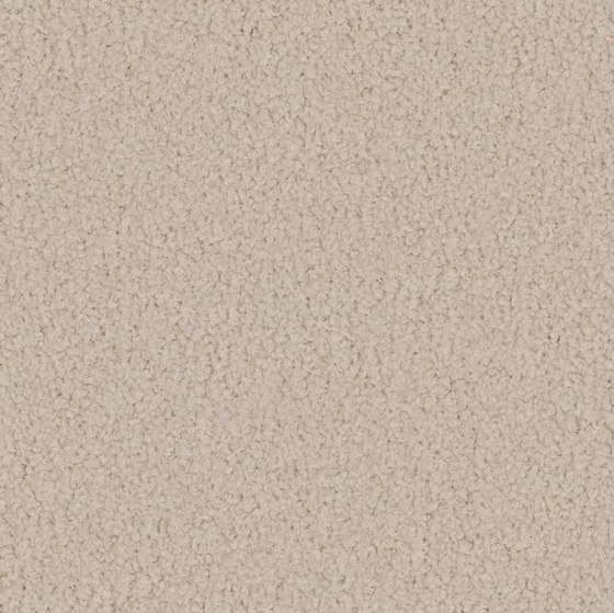 Larea 8h62 | Wall-to-wall carpets | Vorwerk