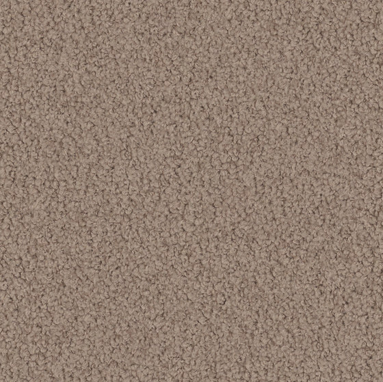 Larea 8h64 | Wall-to-wall carpets | Vorwerk