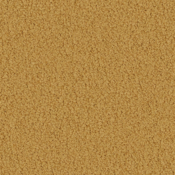 Larea d274 | Wall-to-wall carpets | Vorwerk