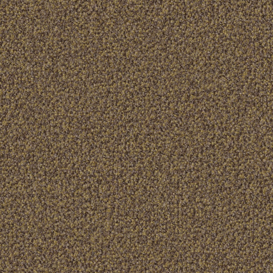 Terzo 5u04 | Wall-to-wall carpets | Vorwerk