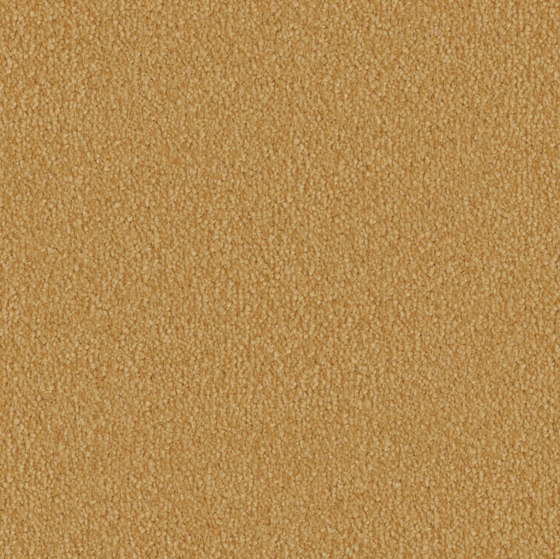 Myrana 2d78 | Wall-to-wall carpets | Vorwerk
