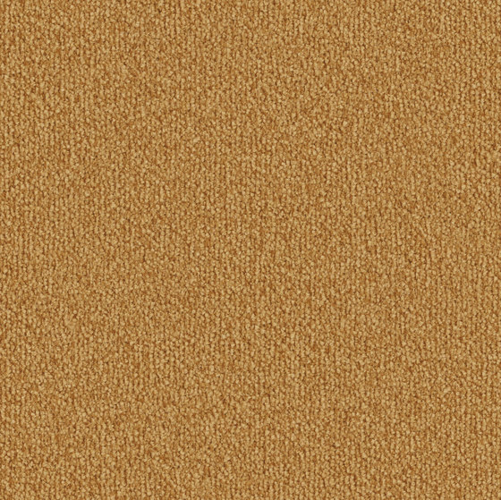Safira 2d80 | Wall-to-wall carpets | Vorwerk