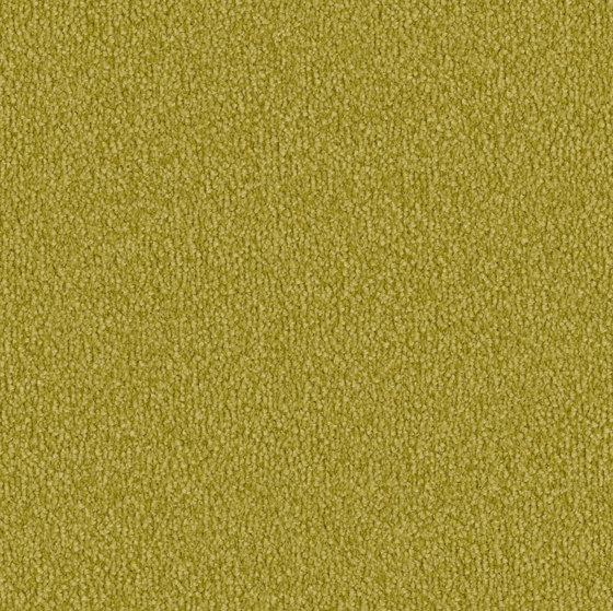 Safira 2d81 | Wall-to-wall carpets | Vorwerk