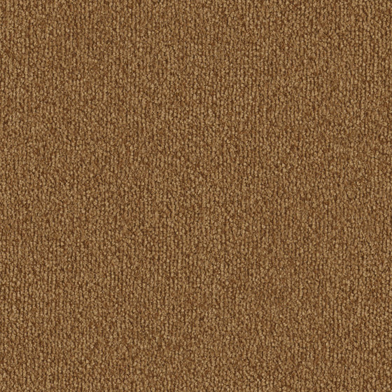 Safira 7f71 | Wall-to-wall carpets | Vorwerk