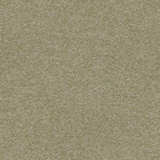 Nutria Comfort 4f34 | Wall-to-wall carpets | Vorwerk