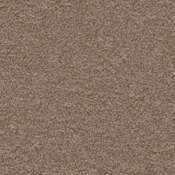 Nutria Comfort 7f58 | Wall-to-wall carpets | Vorwerk
