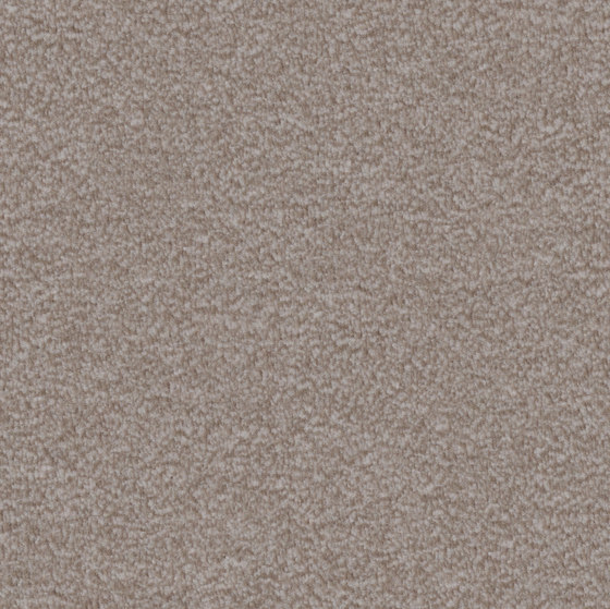 Nutria Comfort 7f60 | Wall-to-wall carpets | Vorwerk