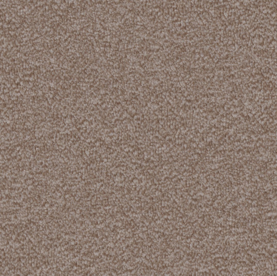 Nutria Comfort 8h56 | Wall-to-wall carpets | Vorwerk