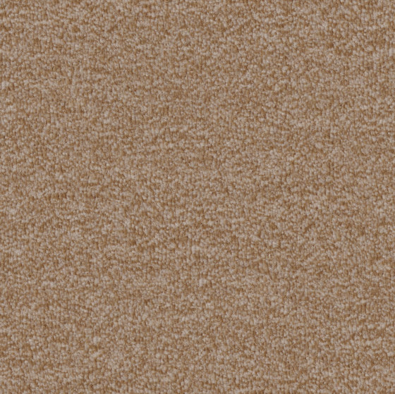Nutria Comfort 8h61 | Wall-to-wall carpets | Vorwerk