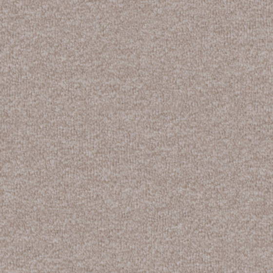 Nutria Comfort 8h59 | Wall-to-wall carpets | Vorwerk