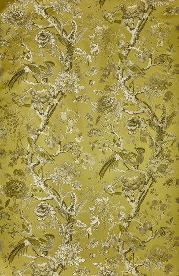 Silkbird Jacquard col. 006 | Tessuti decorative | Dedar